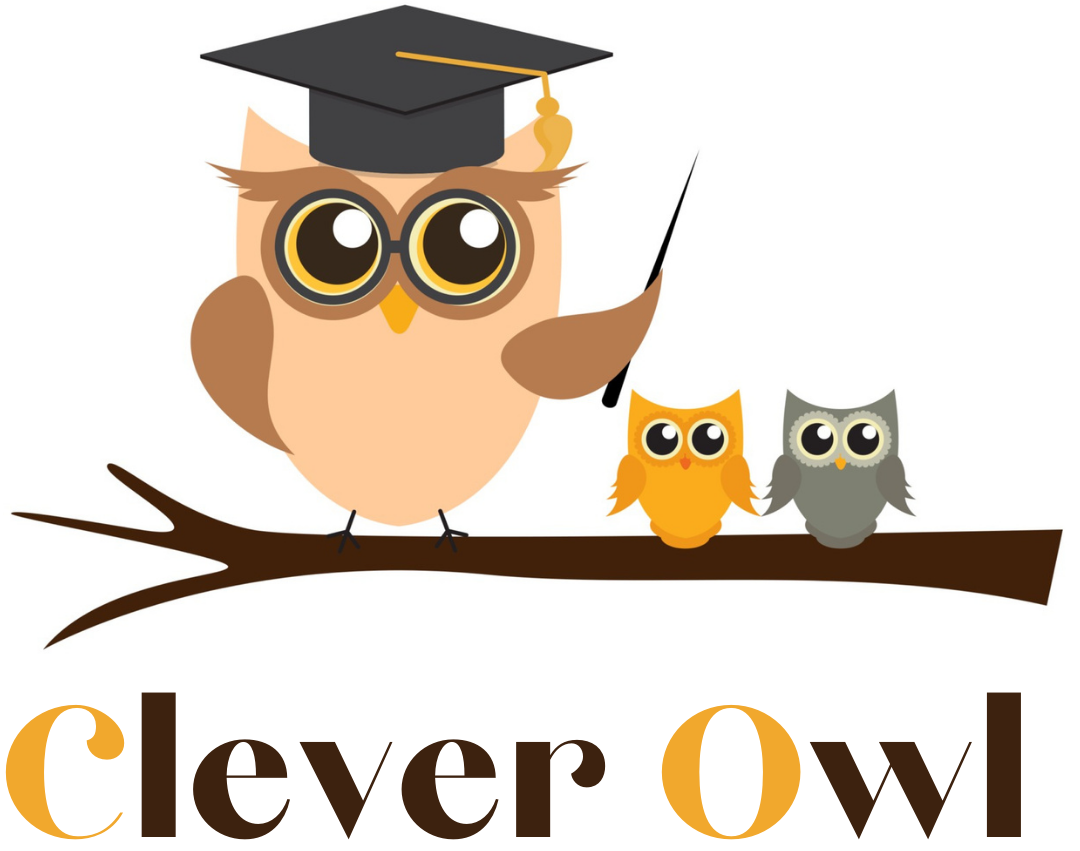 Clever Owl Logo